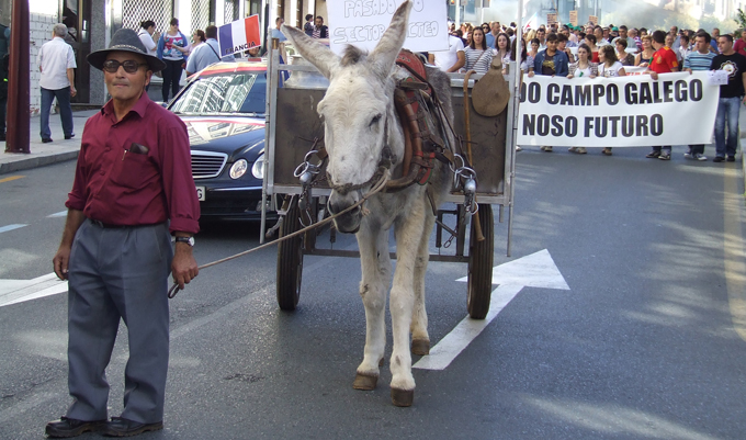 Burro