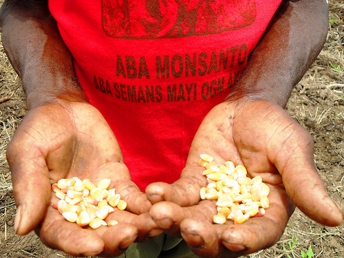 MONSANTOHAITI