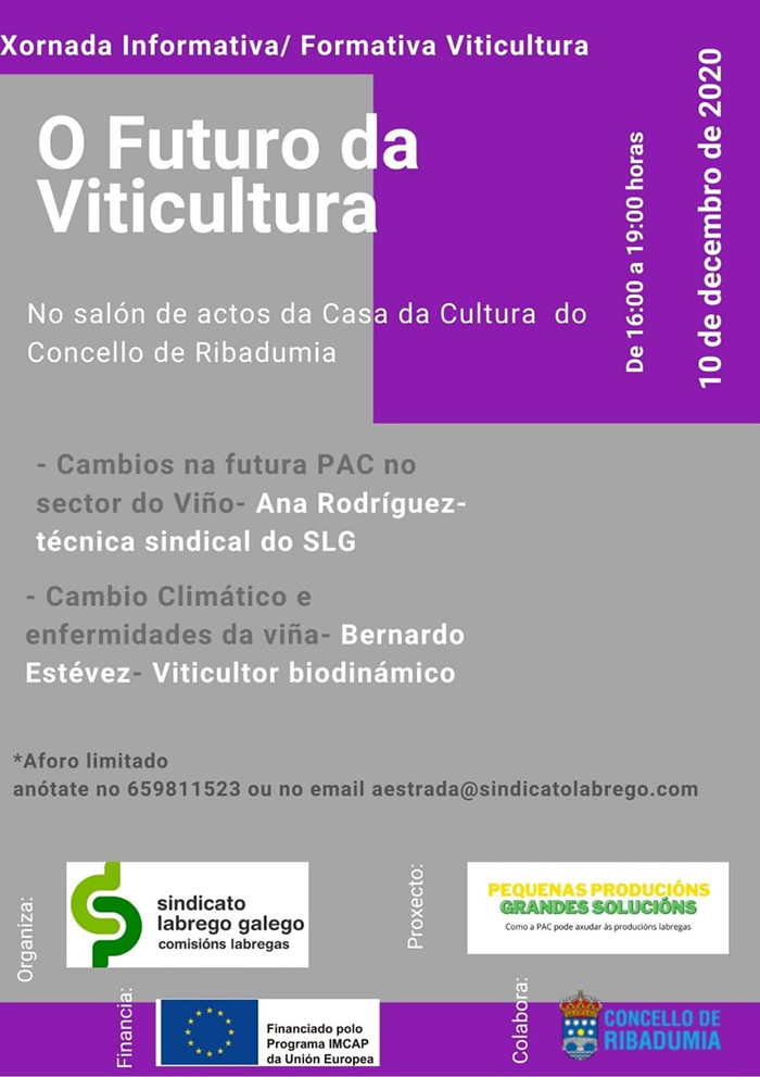 Cartaz viño
