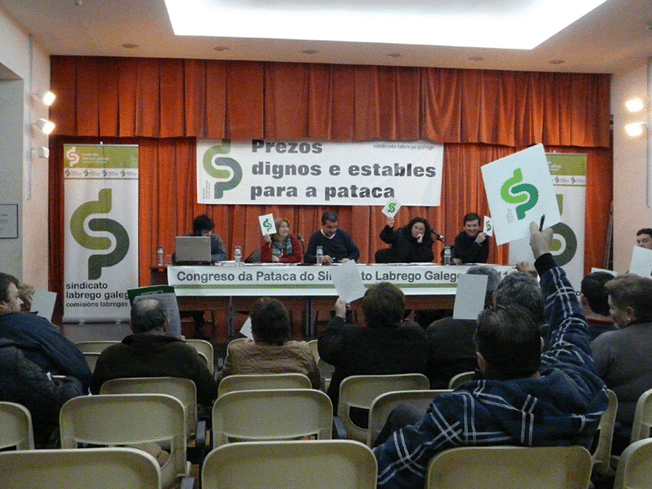 Congreso da pataca 1
