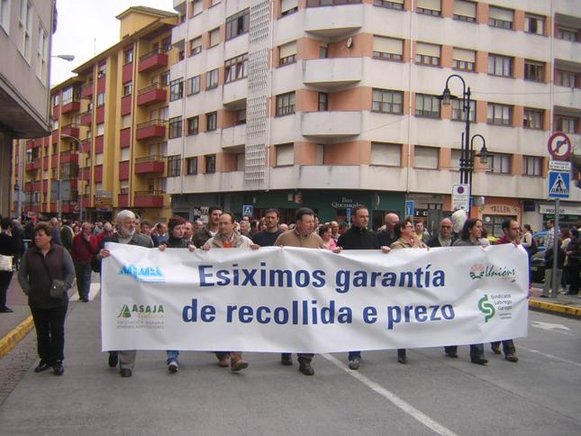 RIBADEO5