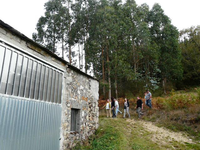 Forestación ilegal 2