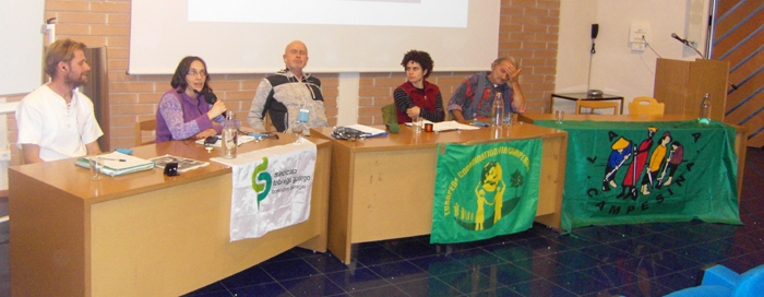 Gaillac sementes
