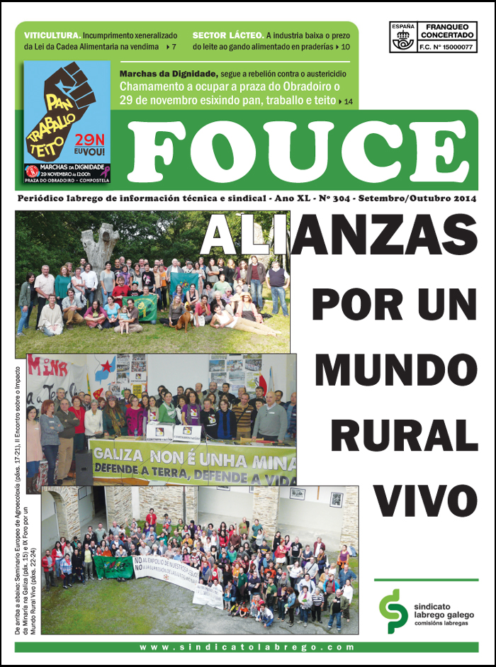 Fouce 304