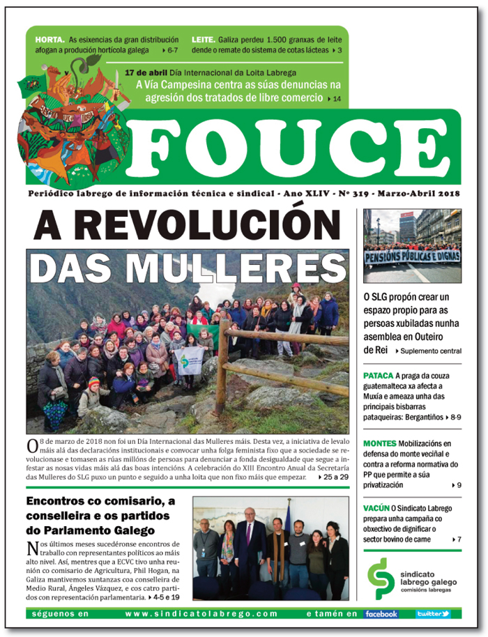 Fouce 319