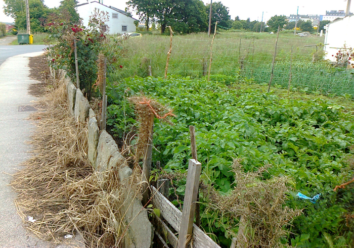Herbicidas horta