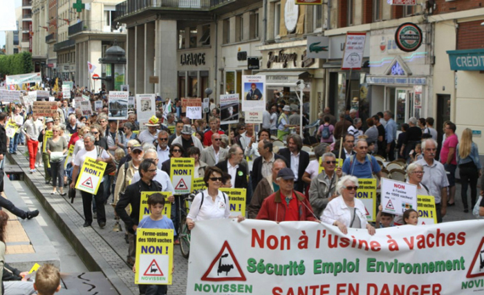 Manifestación