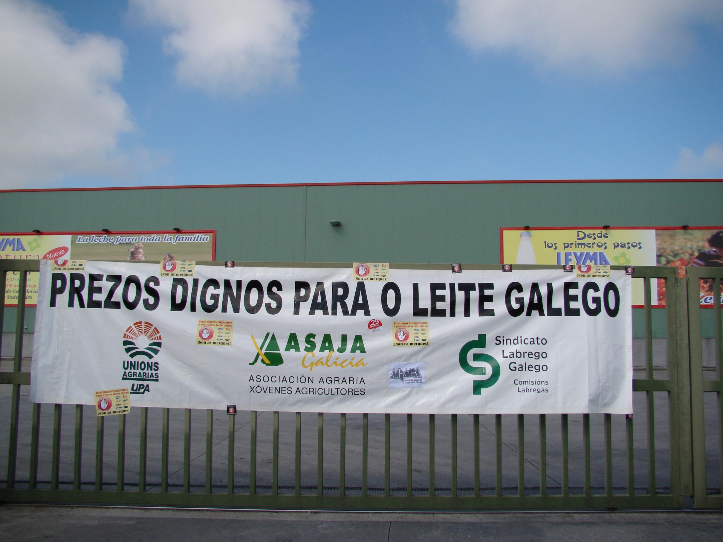 prezos dignos leite