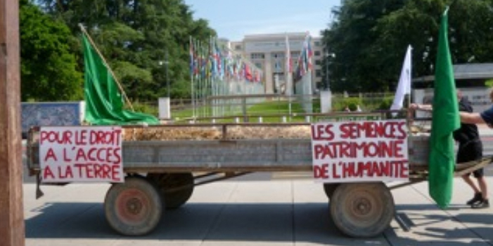 Remolque ONU