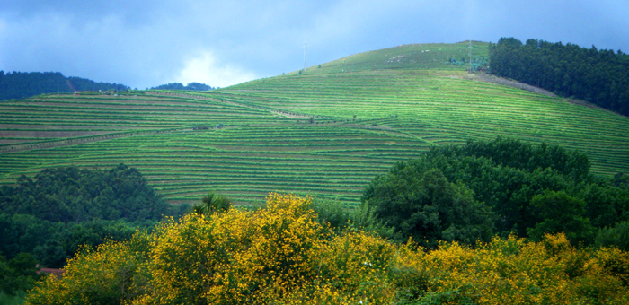 Vilachán