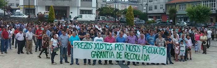 Xuntanza magrama