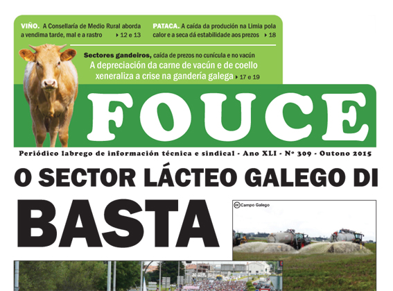 Fouce 309