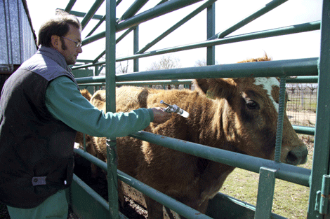 Veterinario