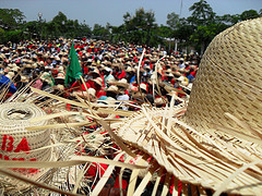 haiti rexeita monsanto