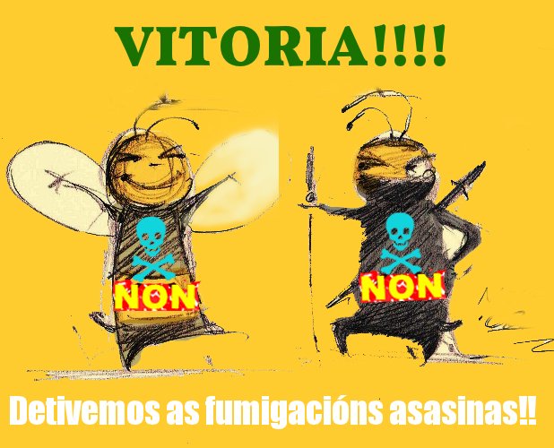 Abellas ninja