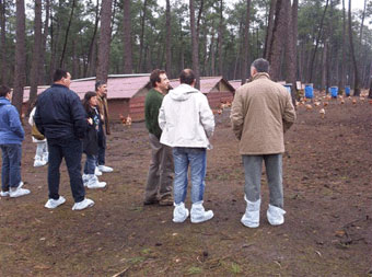 Campamento de avicultura en Francia
