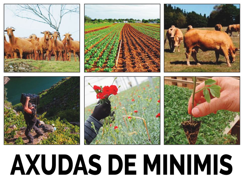Axudas de minimis