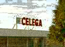 Celega