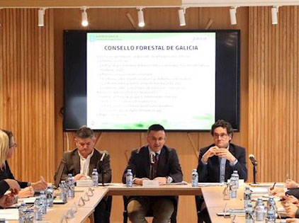 Consello Forestal de Galicia