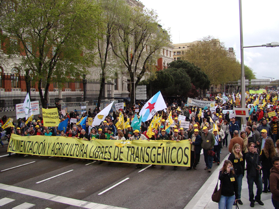 Manifestación contra OXM