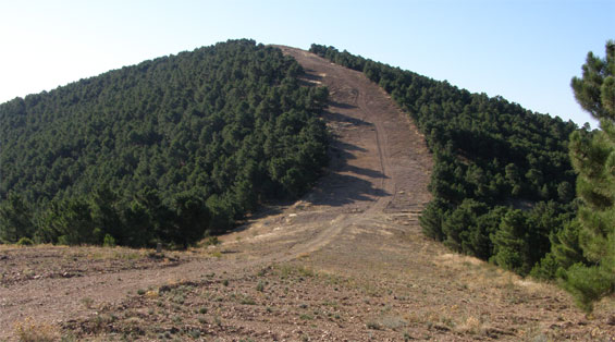Cortalumes