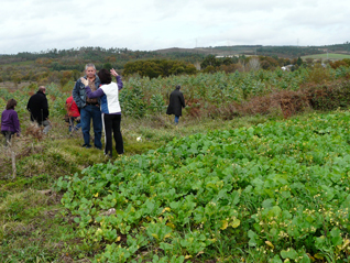 Denuncia de forestacións en Santaballa