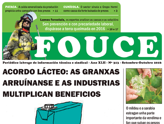 Fouce 313