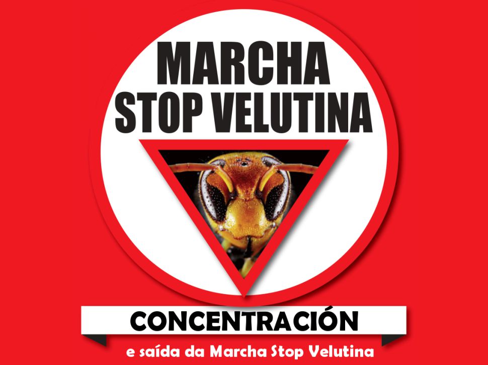 Marcha Stop Velutina