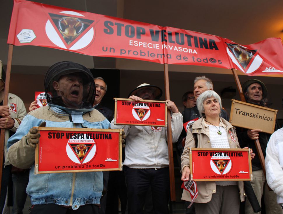 Marcha STOP Velutina