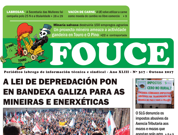 Fouce 317
