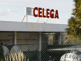 Celega