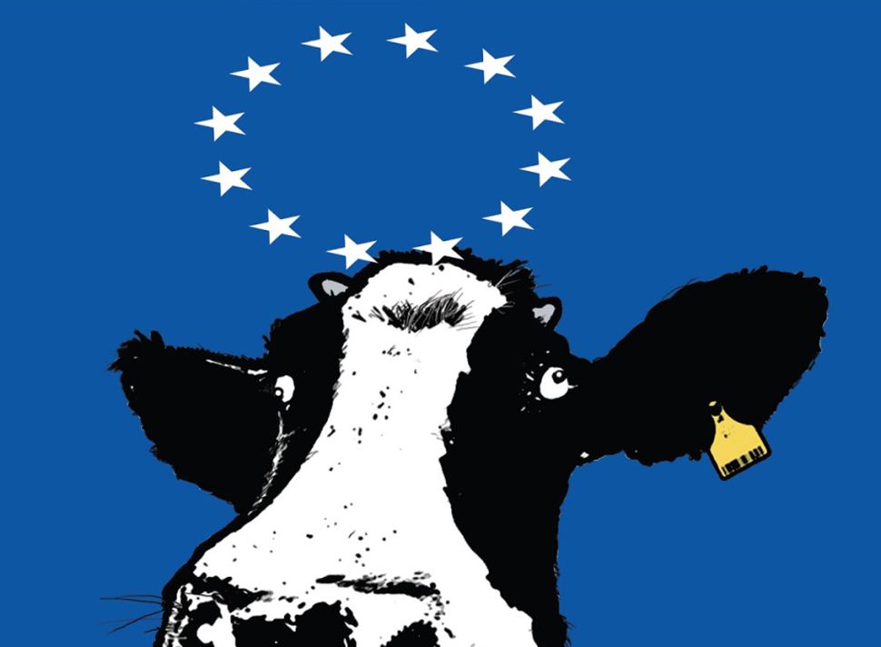 Vaca UE