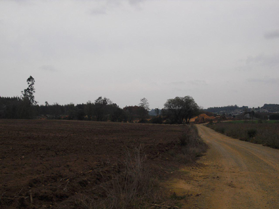 Erimsa Frades