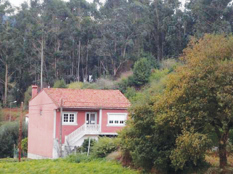 Casa con eucaliptos
