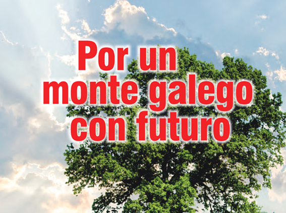 Manifestacion 20_O