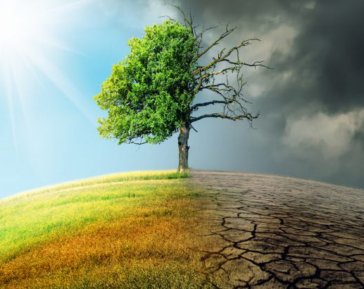 Cambio climático