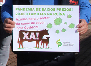 Concentración vacún de carne