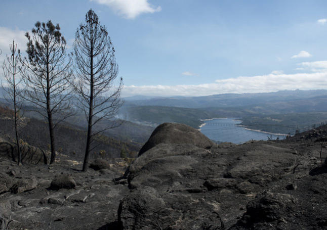 Monte queimado