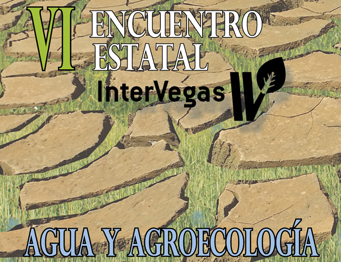 Encontro Intervegas VI