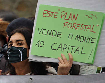 Por un monte galego con futuro