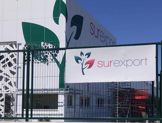 Surexport