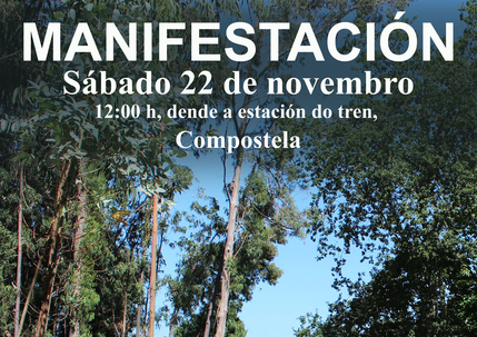 Manifestación ORGACCMM