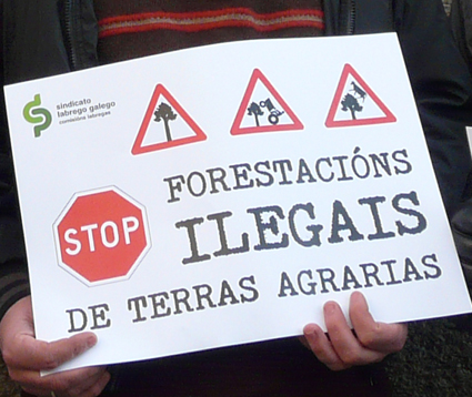 Non á forestación