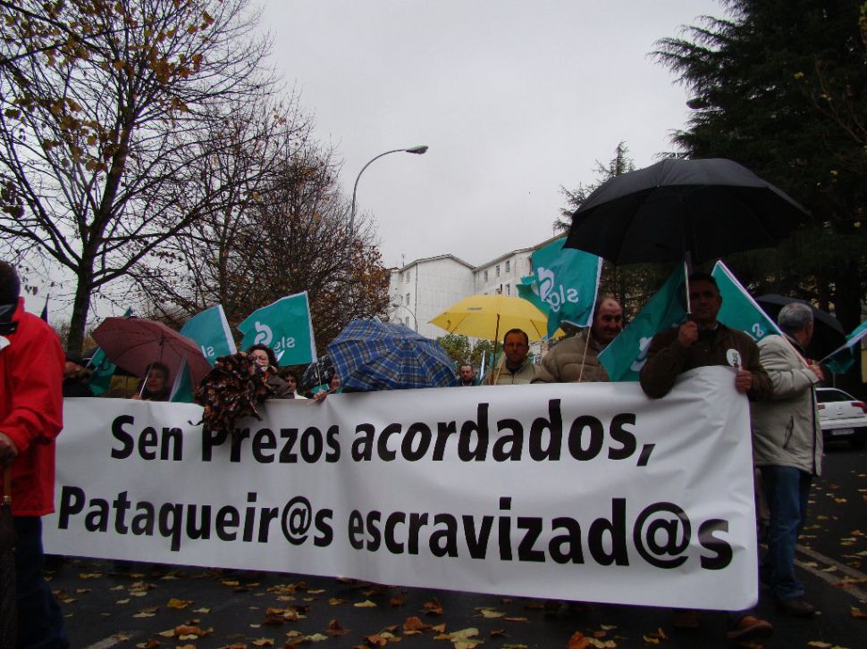 manifestación pataca 2008