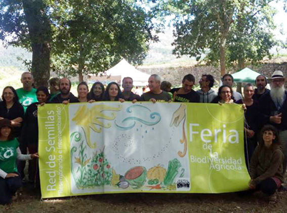 Feira Sementes Tomiño
