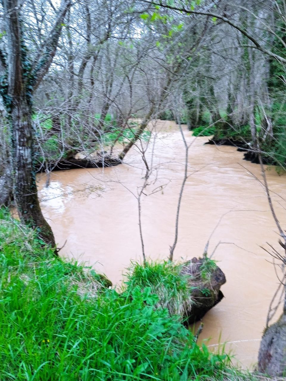 Concello de Frades