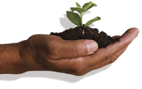 agricultura labrega, alimentación humana