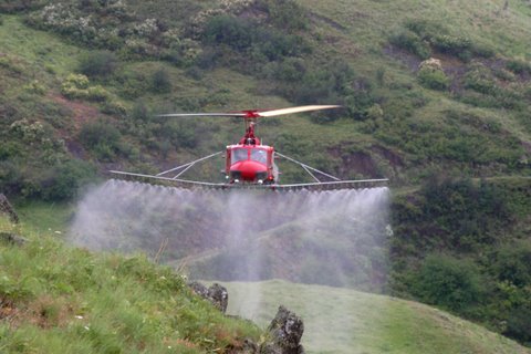 Helicóptero