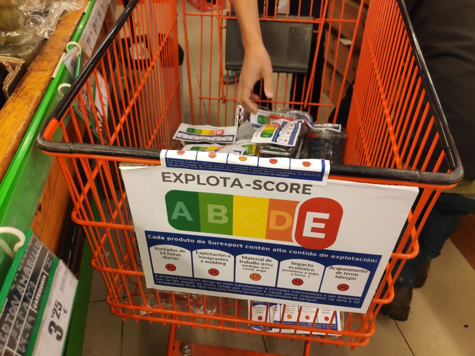 SurexportCarriño
