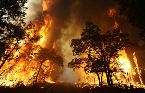 Incendio forestal